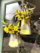 青山ファーマーズに出店します！の画像