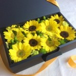 ヒマワリBIG BOXアレンジメント(生花)